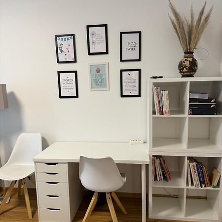 Sunny And Elegant Apartament In Central Location 格拉茨 外观 照片
