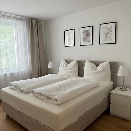 Sunny And Elegant Apartament In Central Location 格拉茨 外观 照片