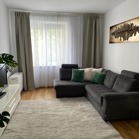 Sunny And Elegant Apartament In Central Location 格拉茨 外观 照片